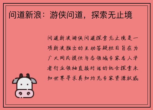问道新浪：游侠问道，探索无止境